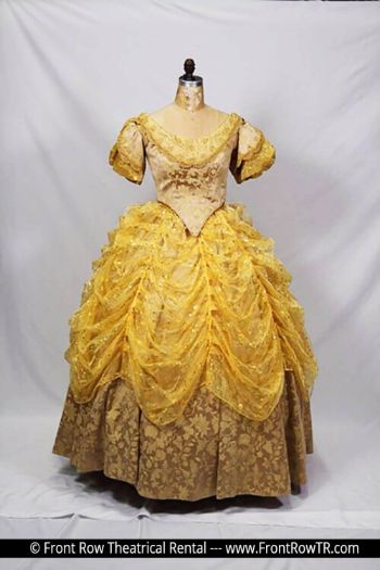 Beauty and the Beast Costume Rental Package Mega Mix