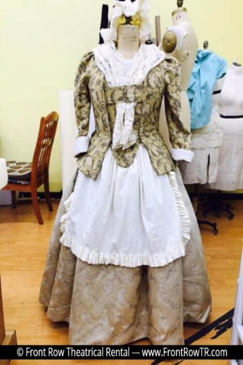 Beauty and the Beast Costume Rental Package