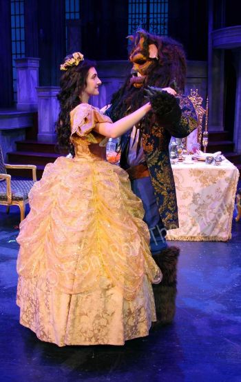 Beauty and the Beast Costume Rental Package 